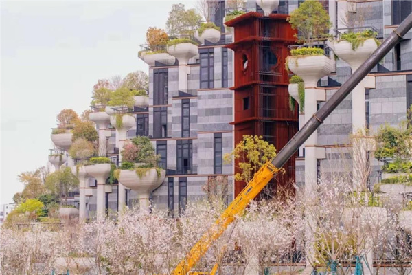 天安千樹濱河花園及一二樓平臺花園