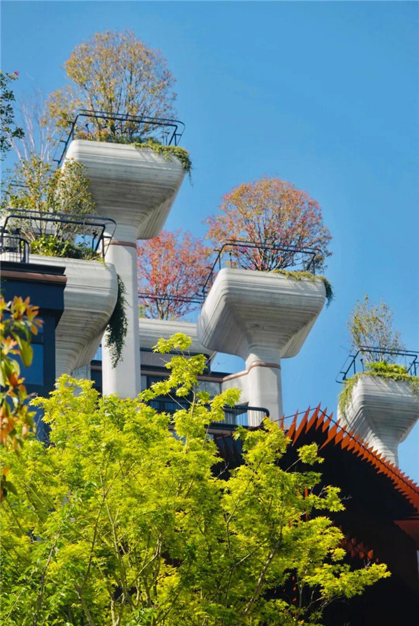 天安千樹濱河花園及一二樓平臺花園