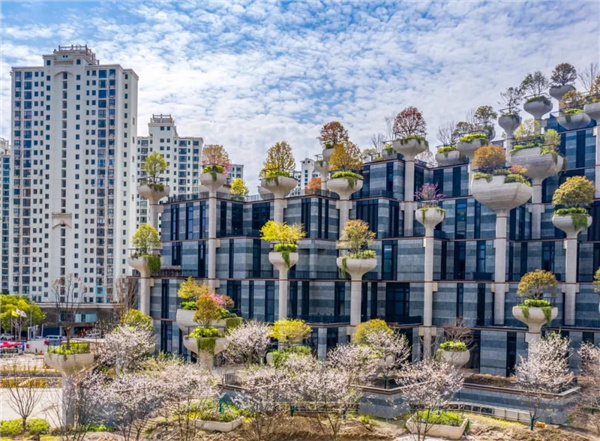 天安千樹濱河花園及一二樓平臺花園