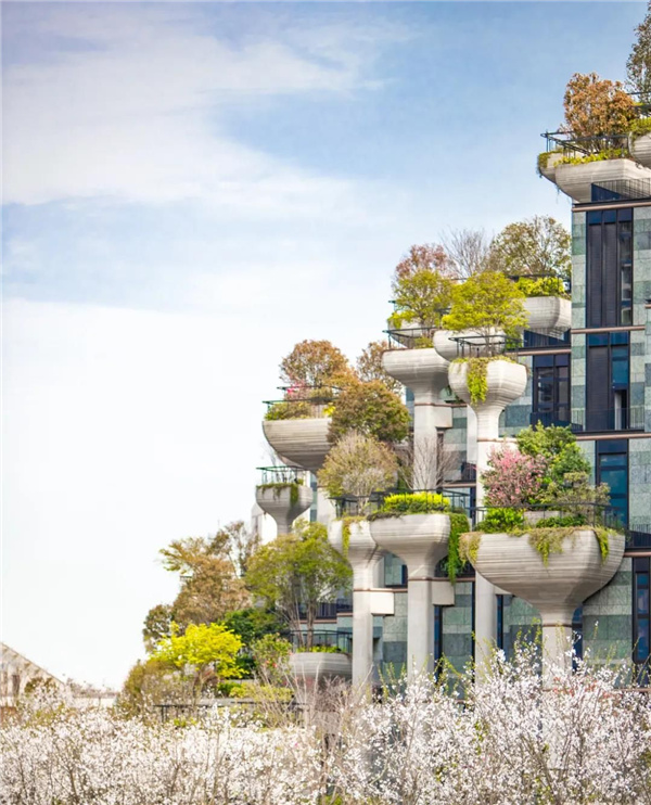 天安千樹濱河花園及一二樓平臺花園