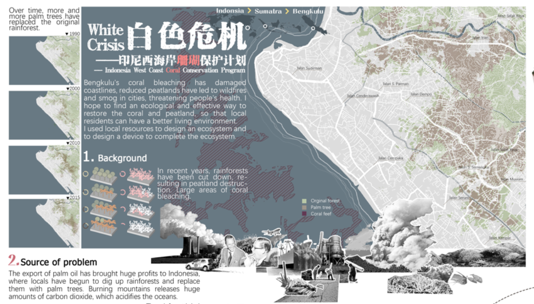 第十二屆園冶杯一等獎作品《White Crisis——印尼西海岸珊瑚保護(hù)計(jì)劃》解讀