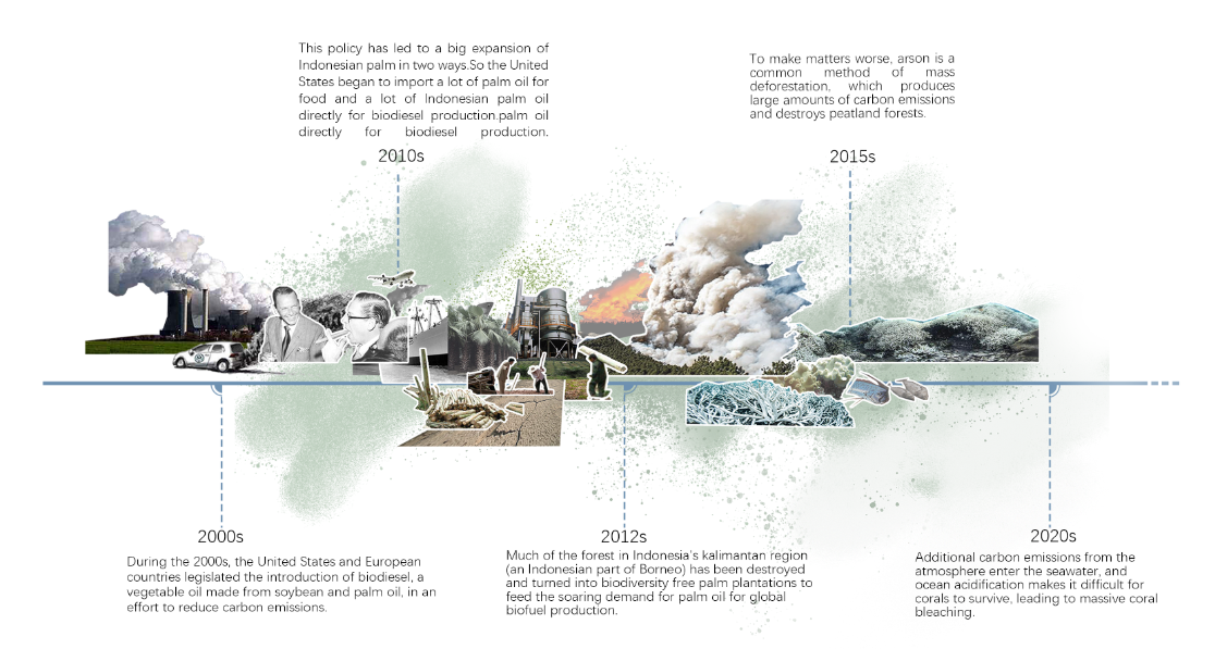 第十二屆園冶杯一等獎作品《White Crisis——印尼西海岸珊瑚保護(hù)計(jì)劃》解讀