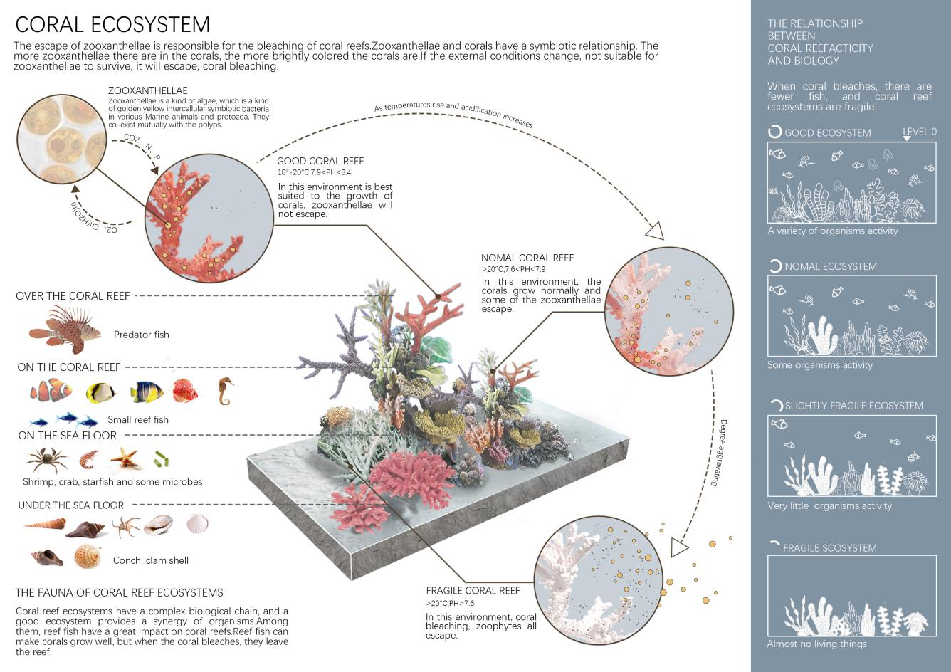 第十二屆園冶杯一等獎作品《White Crisis——印尼西海岸珊瑚保護(hù)計(jì)劃》解讀