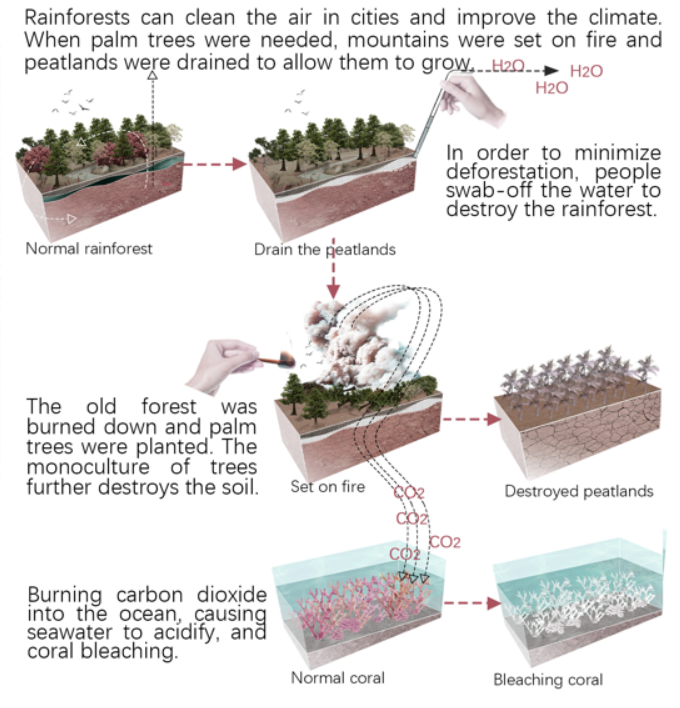 第十二屆園冶杯一等獎作品《White Crisis——印尼西海岸珊瑚保護(hù)計(jì)劃》解讀