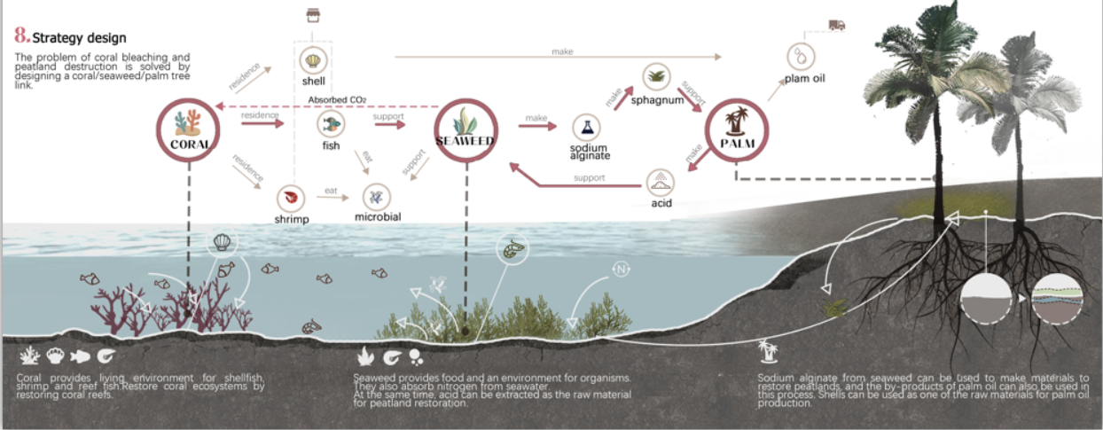 第十二屆園冶杯一等獎作品《White Crisis——印尼西海岸珊瑚保護(hù)計(jì)劃》解讀