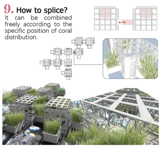 第十二屆園冶杯一等獎作品《White Crisis——印尼西海岸珊瑚保護(hù)計(jì)劃》解讀