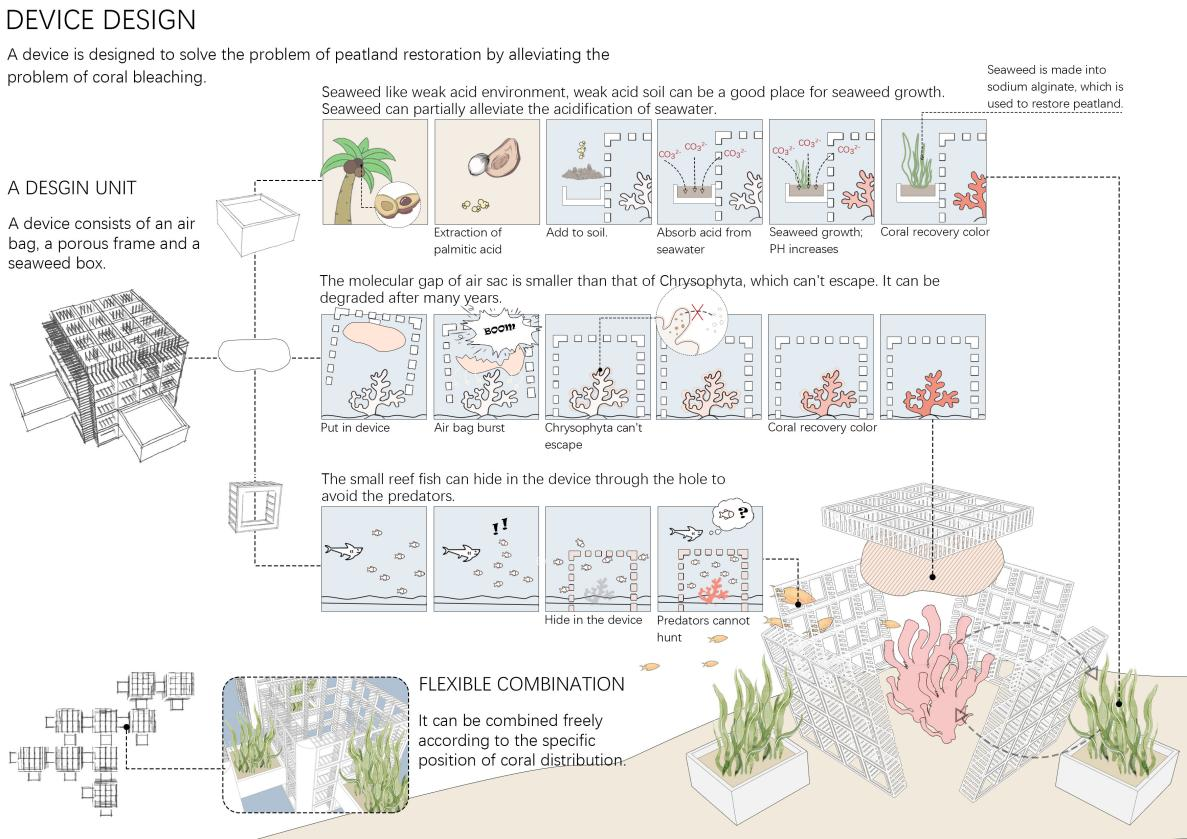 第十二屆園冶杯一等獎作品《White Crisis——印尼西海岸珊瑚保護(hù)計(jì)劃》解讀