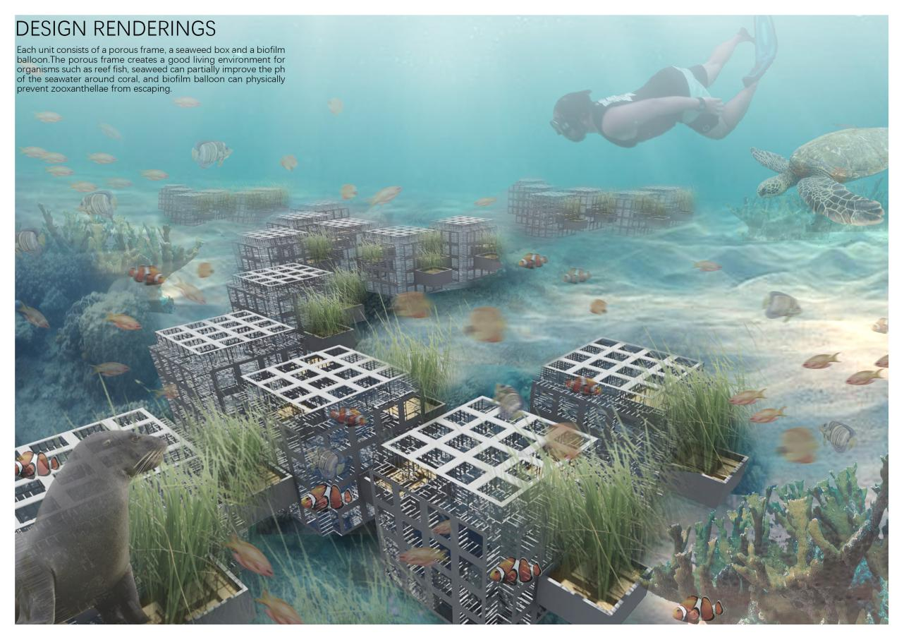 第十二屆園冶杯一等獎作品《White Crisis——印尼西海岸珊瑚保護(hù)計(jì)劃》解讀