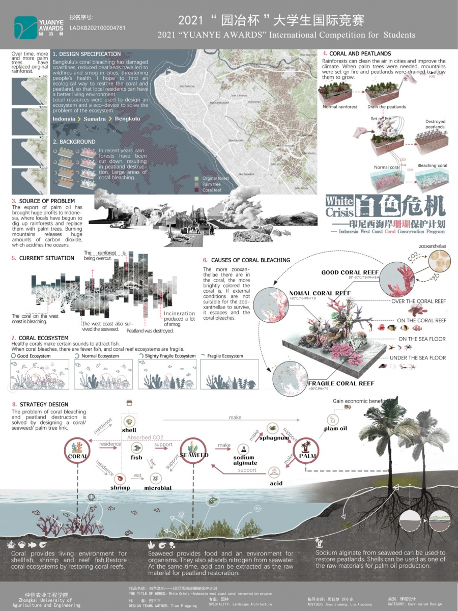 第十二屆園冶杯一等獎作品《White Crisis——印尼西海岸珊瑚保護(hù)計(jì)劃》解讀