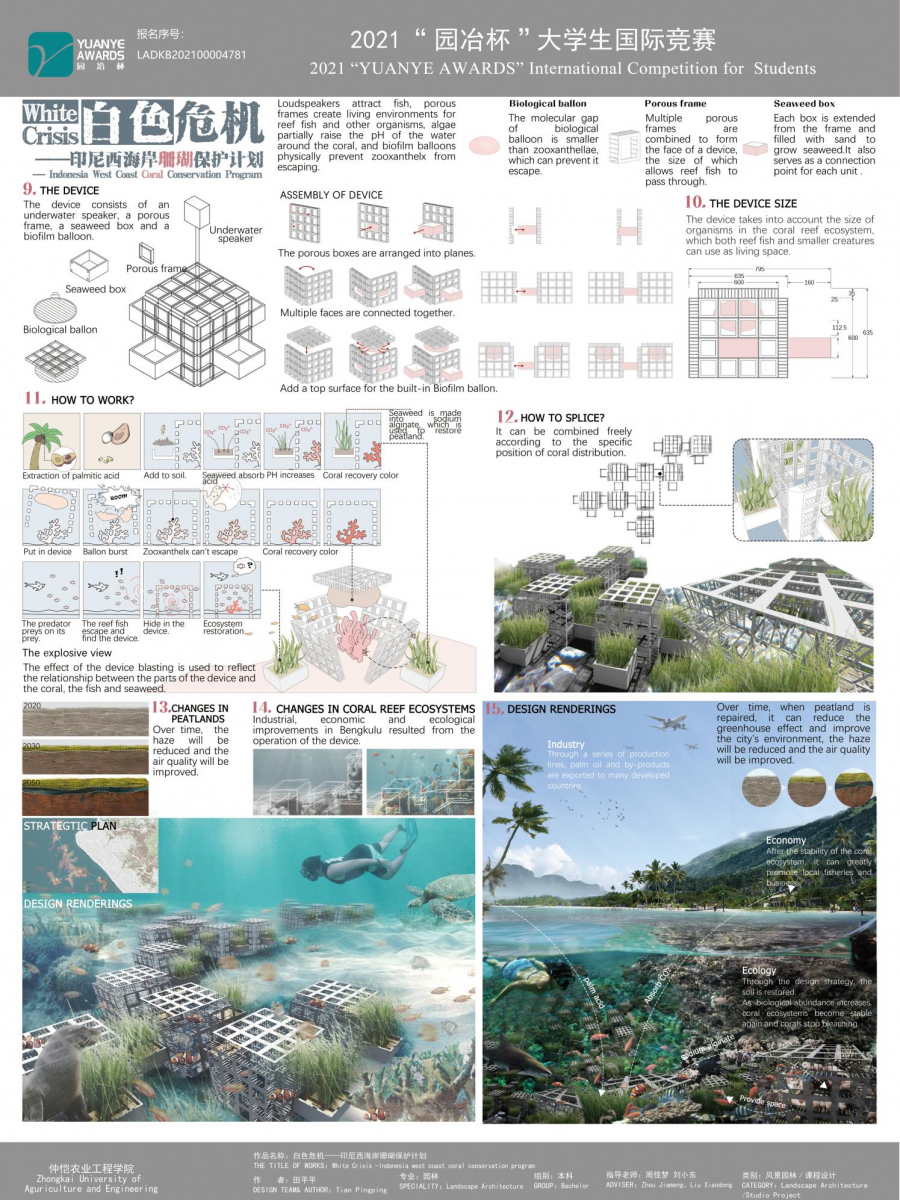 第十二屆園冶杯一等獎作品《White Crisis——印尼西海岸珊瑚保護(hù)計(jì)劃》解讀