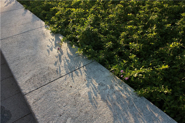 前海國(guó)際會(huì)議中心