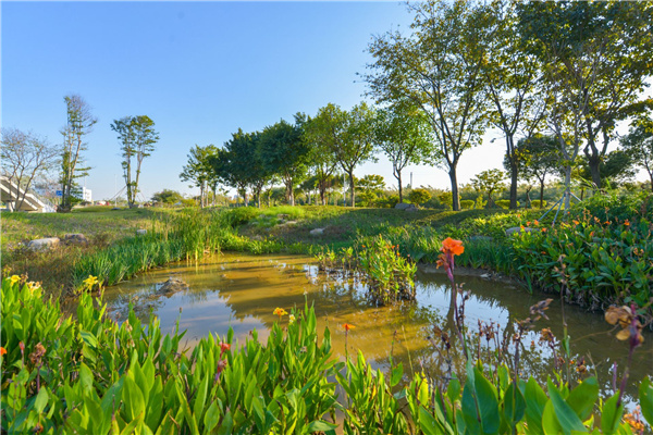 佛山西江產業新城景觀設計