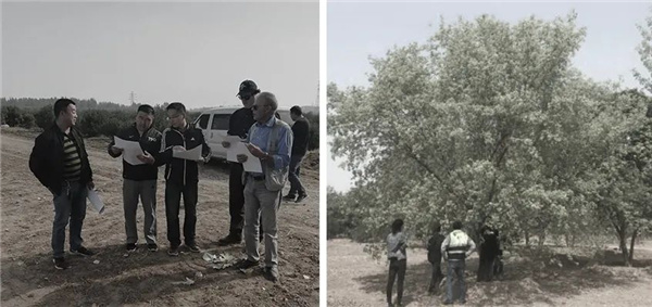 順景園林丨北京環球度假區景觀