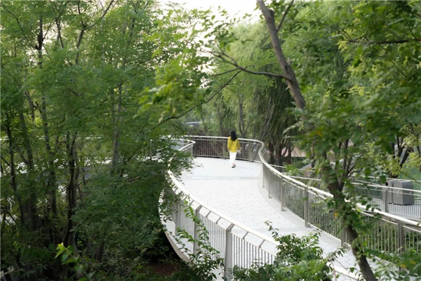 順景園林丨北京環球度假區景觀