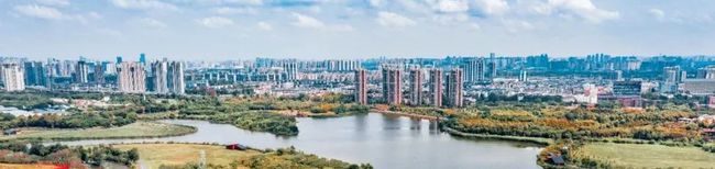 李翔寧等專家解成都環城生態公園