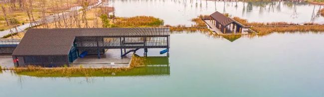 李翔寧等專家解成都環城生態公園