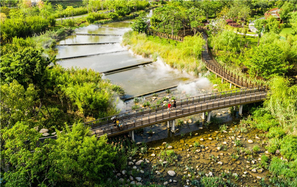 龍巖市龍津湖公園項目