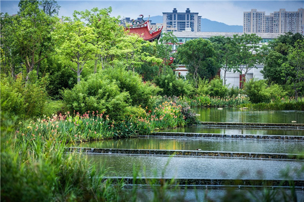 龍巖市龍津湖公園項目