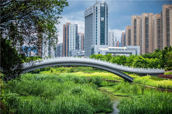 龍巖市龍津湖公園項目