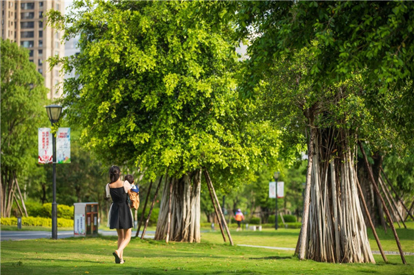 龍巖市龍津湖公園項目