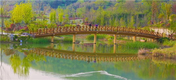 盤龍山景觀綠化提升工程設計施工總承包(EPC)