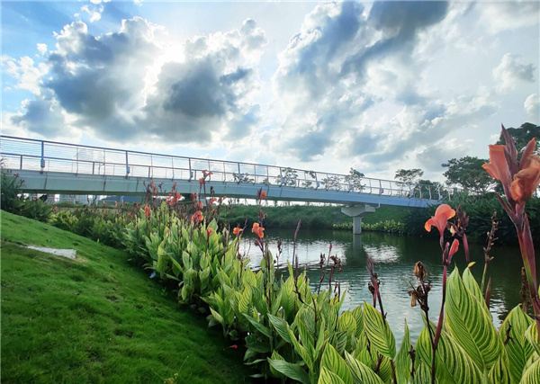 廣東江門市潮連島潮頭中央公園