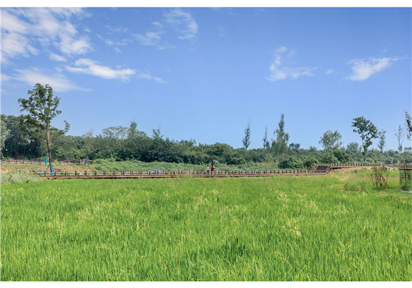 蜀山鄉村振興示范區元塘、大嶺南及小嶺南村民組人居環境綜合整治項目