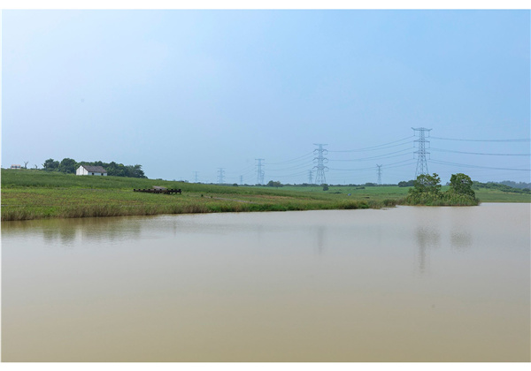 蜀山鄉村振興示范區元塘、大嶺南及小嶺南村民組人居環境綜合整治項目