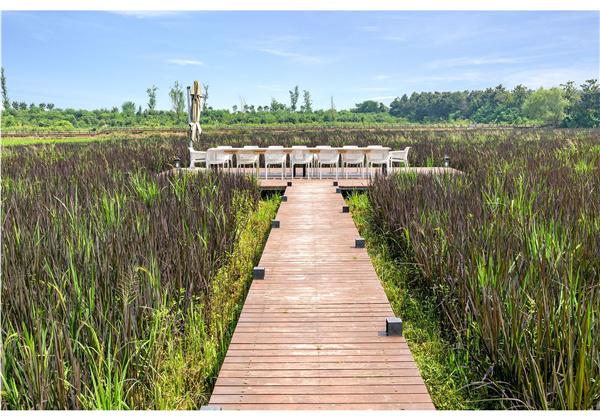 蜀山鄉村振興示范區元塘、大嶺南及小嶺南村民組人居環境綜合整治項目