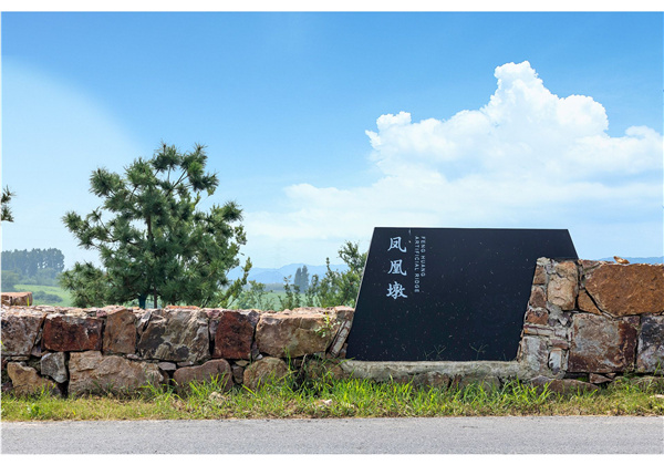 蜀山鄉村振興示范區元塘、大嶺南及小嶺南村民組人居環境綜合整治項目