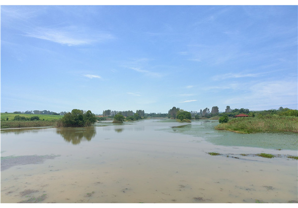 蜀山鄉村振興示范區元塘、大嶺南及小嶺南村民組人居環境綜合整治項目