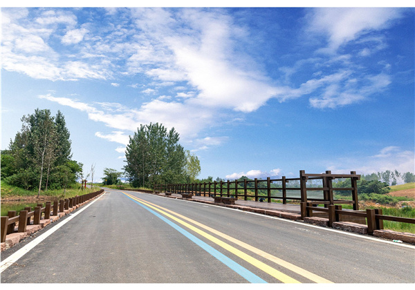 蜀山鄉村振興示范區元塘、大嶺南及小嶺南村民組人居環境綜合整治項目