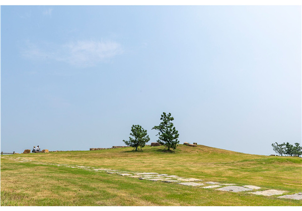 蜀山鄉村振興示范區元塘、大嶺南及小嶺南村民組人居環境綜合整治項目