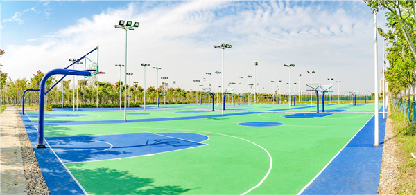 武漢生態環境設計研究院丨漢江漢陽江灘(琴斷口閘至長豐橋段及琴南段) 防洪及環境綜合整治工程