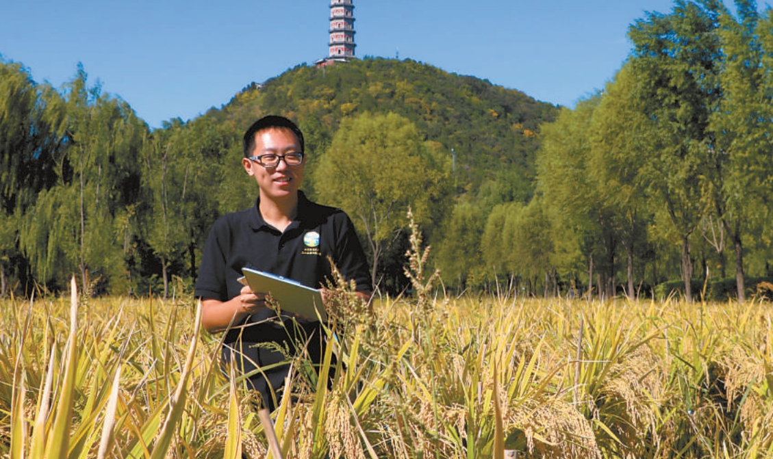 北京林業(yè)大學(xué)博士生朱強(qiáng):探溯三山五園