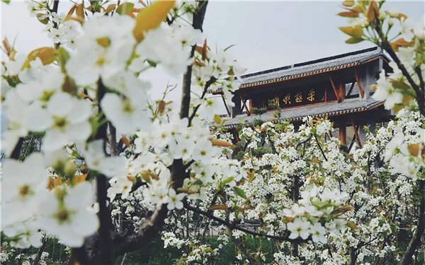 臺州·黃巖交旅集團枕山酒店