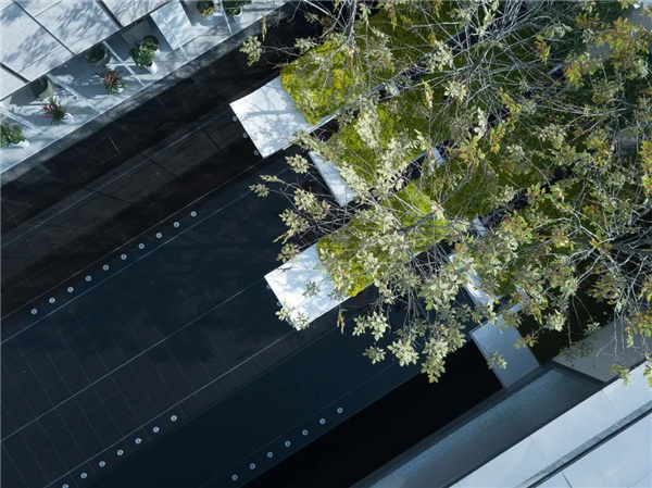 新城·太倉心望雅苑