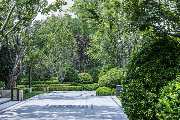 濟(jì)南奧體金茂府大區(qū)一期