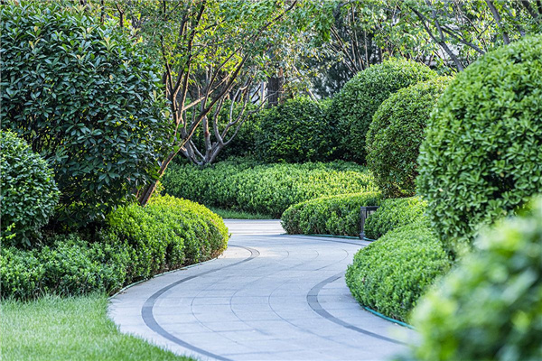濟(jì)南奧體金茂府大區(qū)一期