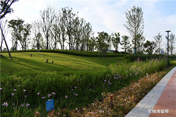 上海南匯新城星空之境海綿公園DBO項目