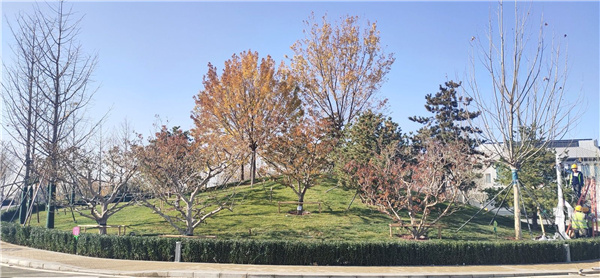 北京環球影城主題公園配套建設（一期）項目