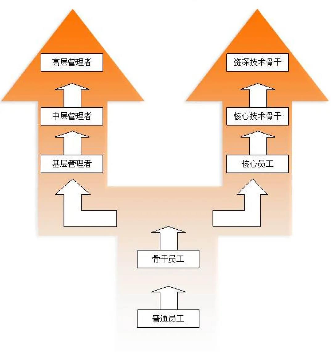 (全國(guó))格林生態(tài)丨