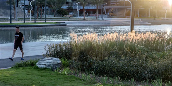 阿特森景觀丨金灣航空城文化藝術中心