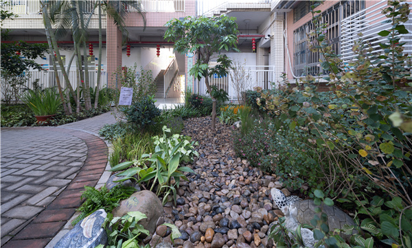 GND杰地景觀丨后海小學未來花園