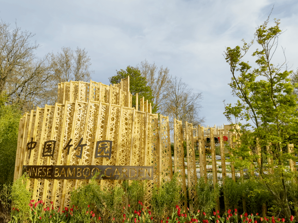 2022荷蘭世園會(huì)開幕 蘇州造“中國(guó)竹園”精彩亮相