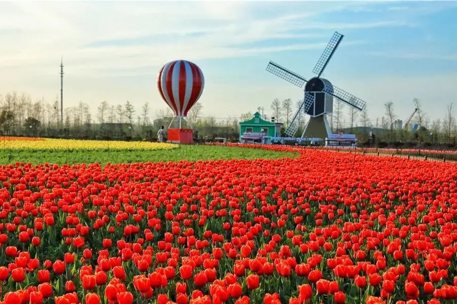 吳必虎:文旅發(fā)展要適應(yīng)“后新冠”