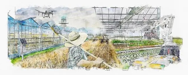 江蘇首個鄉村建設美學導則發布 清華大學聯合編制