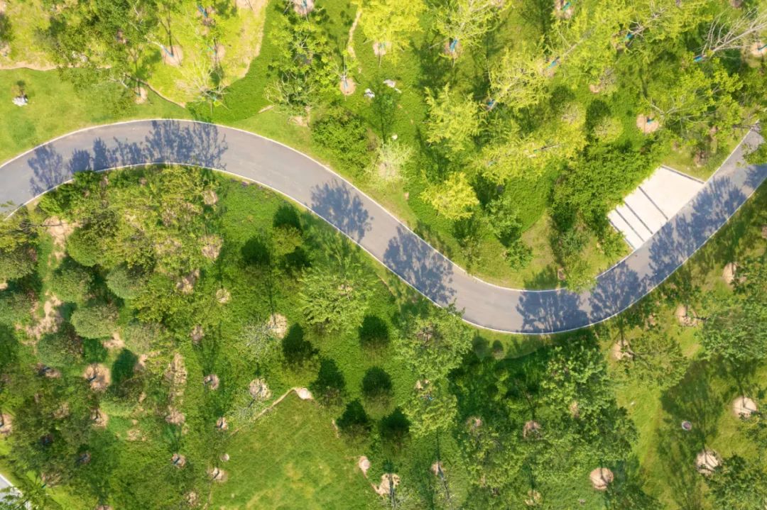 合肥：努力把園博園建成精品園博會辦出精彩