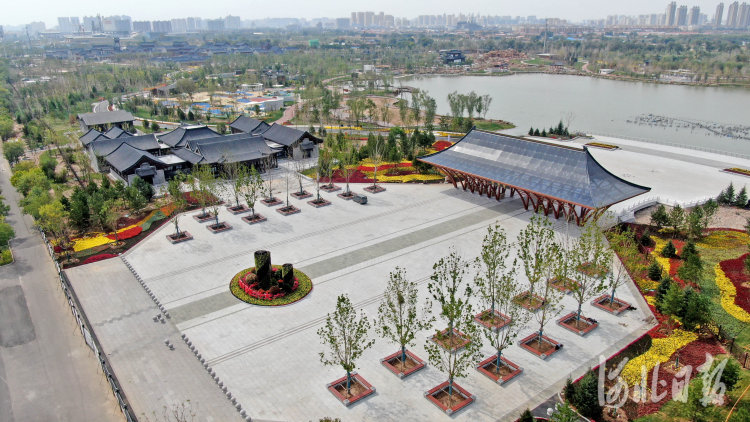 河北滄州：大運河畔園林美景期待激情綻放