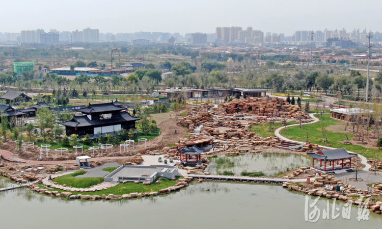 河北滄州：大運河畔園林美景期待激情綻放